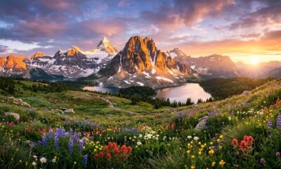 Landscape